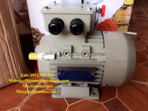 Động cơ điện GUANGLU Y3-801-4